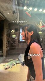 Momo Birthday IG Story Update 231109 16