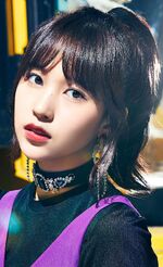 BDZ