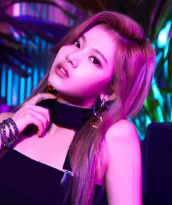 Sana Gallery Twice Wiki Fandom