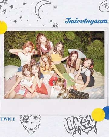 Turtle Twice Wiki Fandom Turtle Twice Wiki Fandom