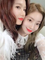 SaiDa IG Update 181221