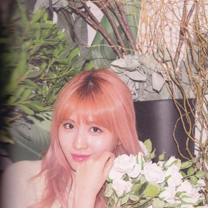 One In A Million Photobook Gallery Twice Wiki Fandom