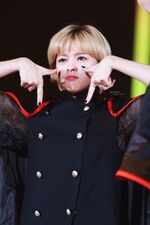 Jeongyeon MMA 2016 4