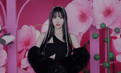 Showcase Momo #2