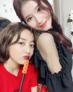 SaHyo IG Update 181230