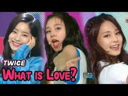 What Is Love Twice Wiki Fandom