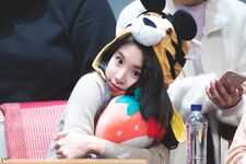 Yes Or Yes Sangnam Fansign Chaeyoung 15