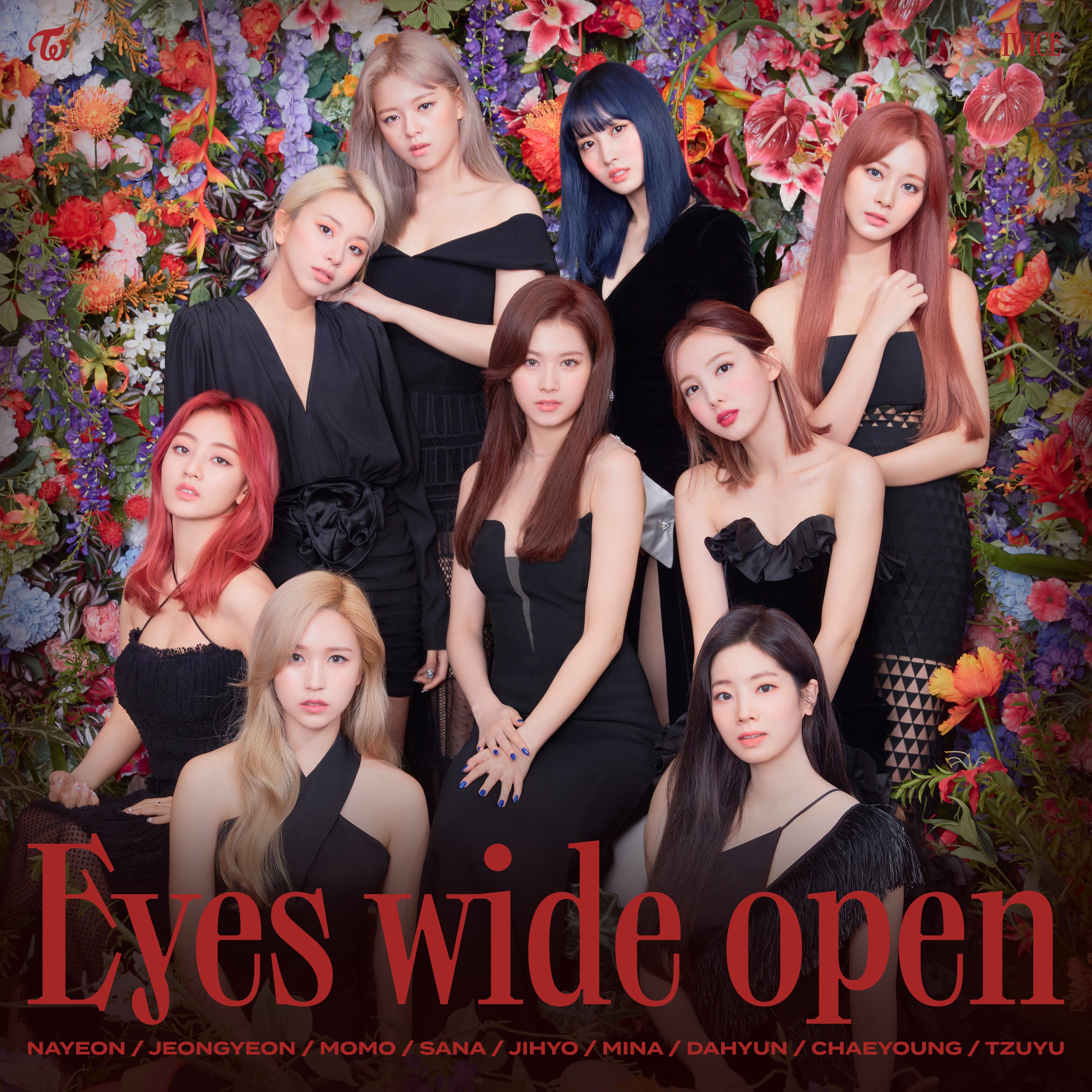 待望 eyes wide open TWICE オールトレカ ecousarecycling.com