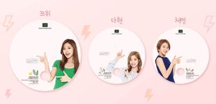 Nature Collection Transparent Fan #2