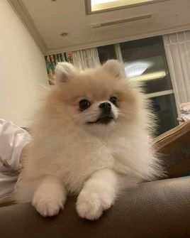 IG Kookeu 20201115 1