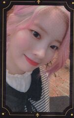 The Year of Yes Photocard #3