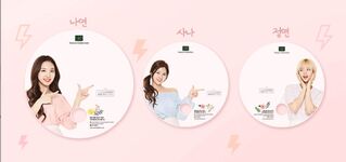 Nature Collection Transparent Fan #1