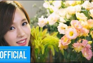 TWICE WORLD TOUR 2019 TWICELIGHTS IN SEOUL | Twice Wiki | Fandom