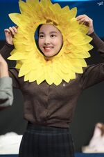 Yes Or Yes Sangnam Sinchon Nayeon 5