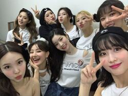 Twice In Wonderland Gallery Twice Wiki Fandom