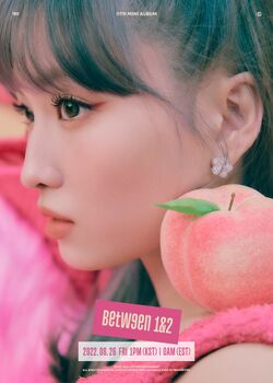 TWICE Between1&2 Musicplant モモ ラキドロ　2 TWICE モモbetween1&2 musicplant ラキドロ