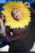 Yes Or Yes Sangnam Sinchon Nayeon 3