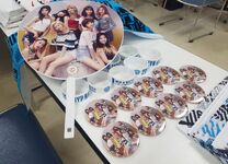 JYP Nation 2016 Twice Fan