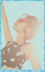 Summer Nights Pre-Order Ver. A