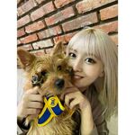 Momo IG Update 200729 1