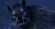 Kevin's Werewolf form