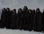 Volturi Guard