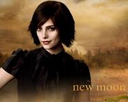 Alice Cullen - The Twilight Saga: New Moon official Alice Cullen poster