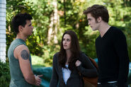 Twilight 3 (25)