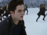 Volturi confrontation