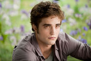 Edward Cullen 45