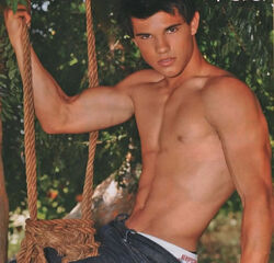 Taylor Lautner, Twilight Saga Wiki