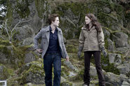 Twilight 1 (12)