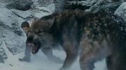 Seth's wolf form when he is fighting Riley