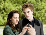 Gallery:New Moon movie screenshots