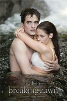 Breaking-dawn-part-1-waterfall-movie-poster