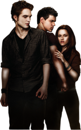 Teams | Twilight Saga Wiki | Fandom