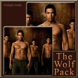 11-the-wolf-pack