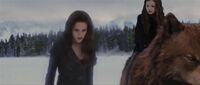 Bella utilise son bouclier pour protéger son entourage