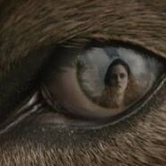 Jacob's wolf eye