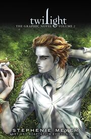 TwilightGraphicVolume2