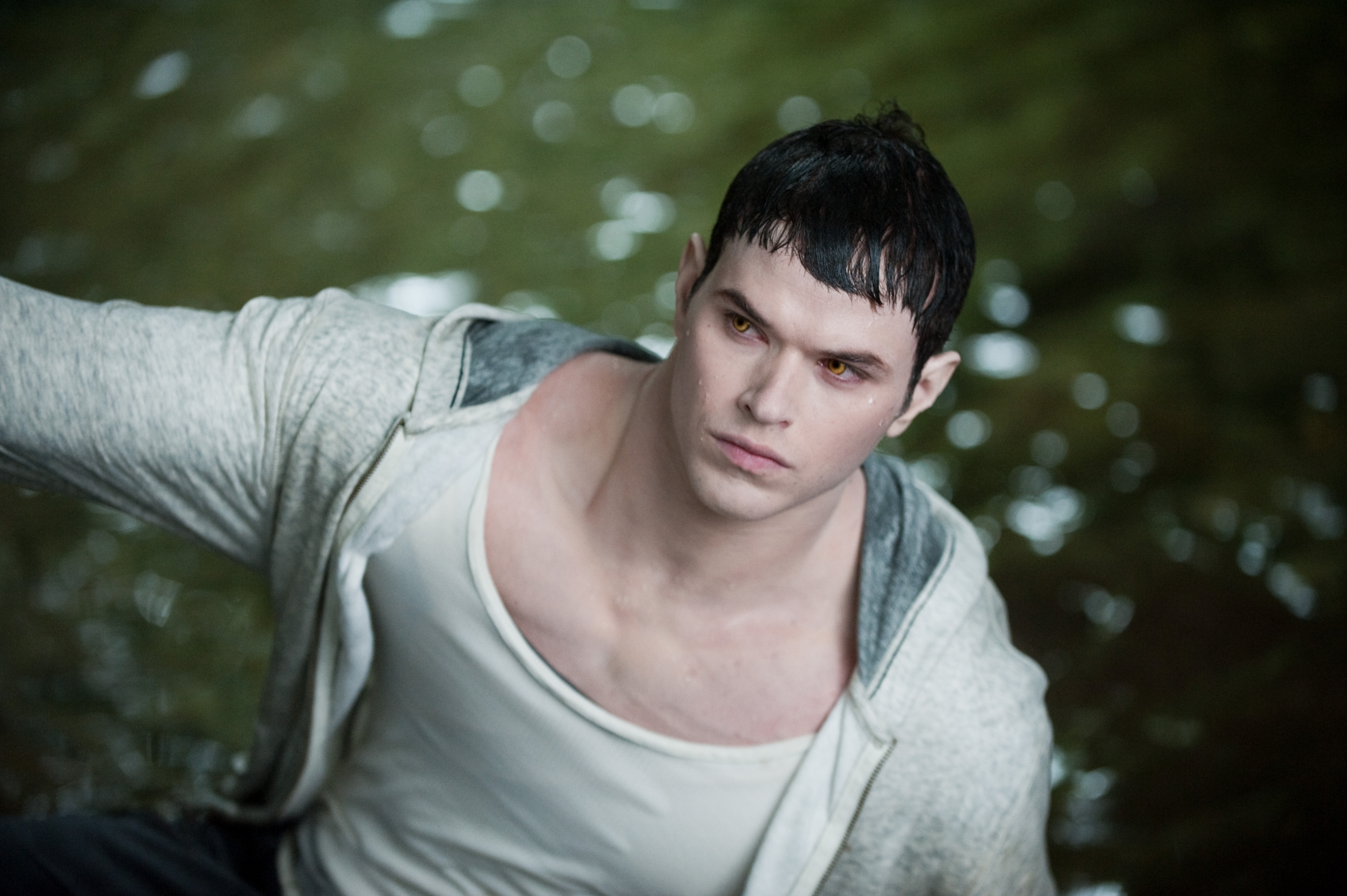 twilight characters emmett