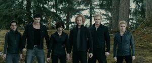 The Cullens waiting in the Clearing