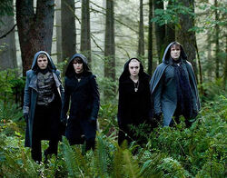 Eclipse Volturi line -up; Felix, Jane, Alec, Demetri