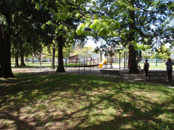 RileyPark1