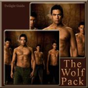 180px-11-the-wolf-pack