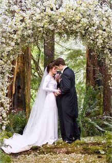 Twilight wedding
