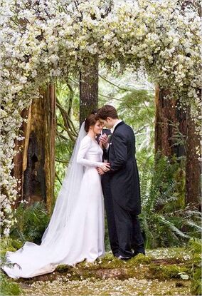 Edward Cullen and Bella Swan s wedding Twilight Saga Wiki Fandom