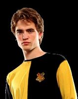 Robert Patterson as Cedric Diggory