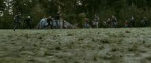 Newborn-battle.jpg