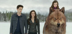 Edward, bella, renesmee y jacob